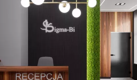 sigma-bi-recepcja-02